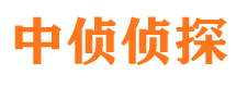 安岳外遇出轨调查取证